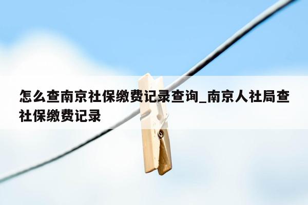 怎么查南京社保缴费记录查询_南京人社局查社保缴费记录