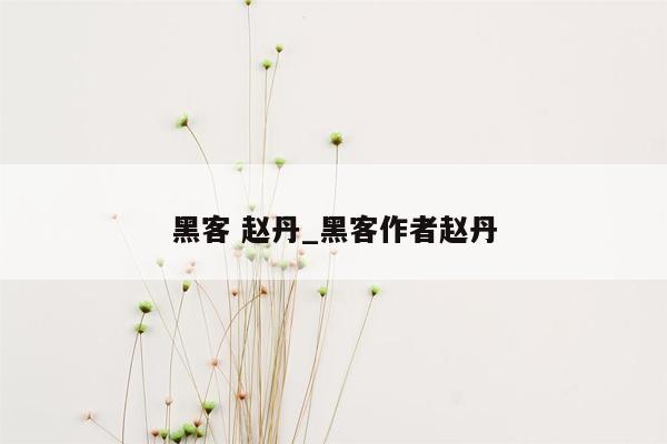 黑客 赵丹_黑客作者赵丹