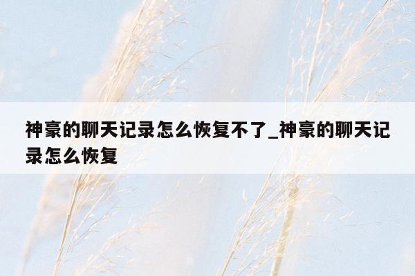 神豪的聊天记录怎么恢复不了_神豪的聊天记录怎么恢复