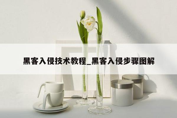 黑客入侵技术教程_黑客入侵步骤图解