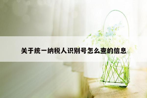 关于统一纳税人识别号怎么查的信息