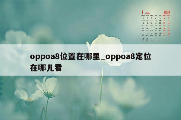 oppoa8位置在哪里_oppoa8定位在哪儿看