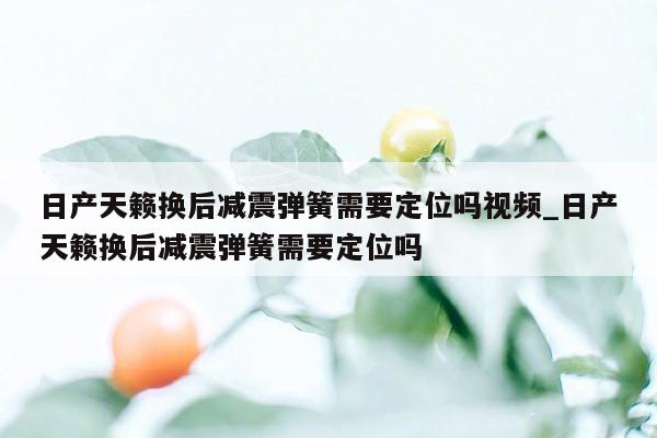 日产天籁换后减震弹簧需要定位吗视频_日产天籁换后减震弹簧需要定位吗