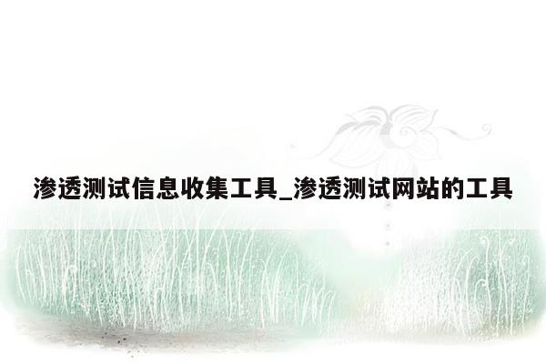 渗透测试信息收集工具_渗透测试网站的工具