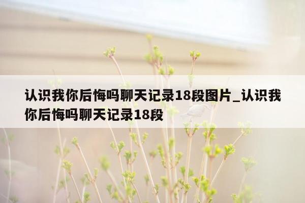 认识我你后悔吗聊天记录18段图片_认识我你后悔吗聊天记录18段