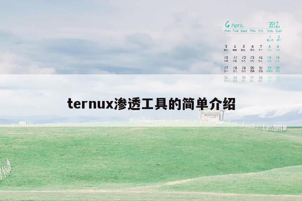 ternux渗透工具的简单介绍