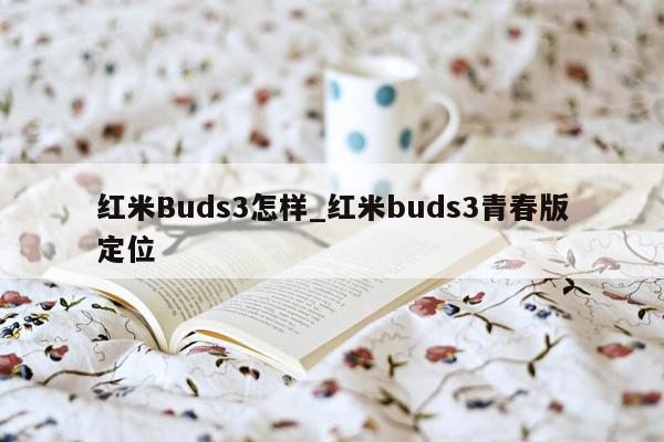 红米Buds3怎样_红米buds3青春版定位
