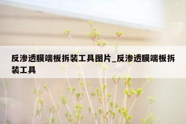 反渗透膜端板拆装工具图片_反渗透膜端板拆装工具