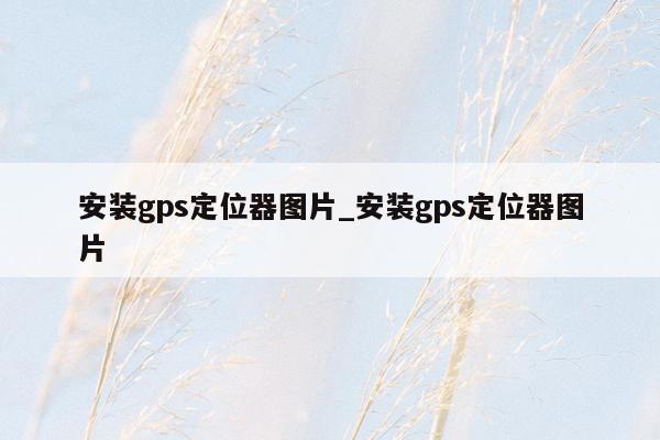 安装gps定位器图片_安装gps定位器图片