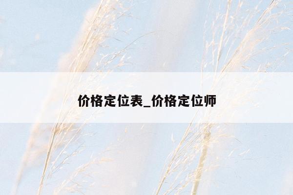 价格定位表_价格定位师