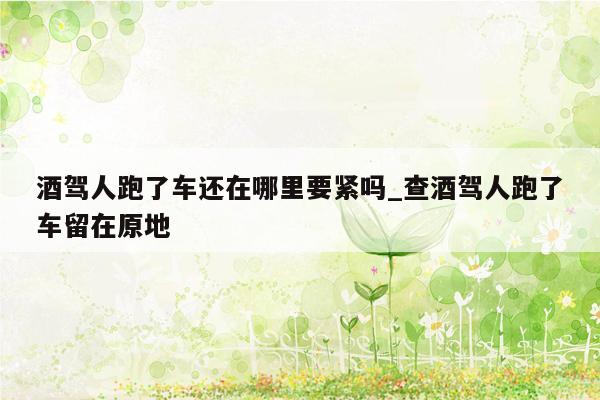 酒驾人跑了车还在哪里要紧吗_查酒驾人跑了车留在原地