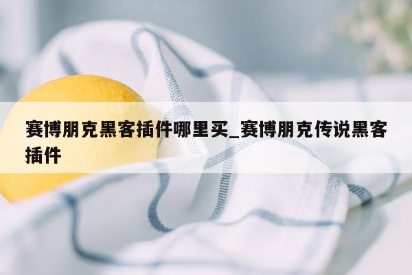 赛博朋克黑客插件哪里买_赛博朋克传说黑客插件
