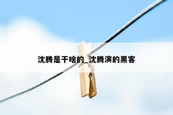沈腾是干啥的_沈腾演的黑客