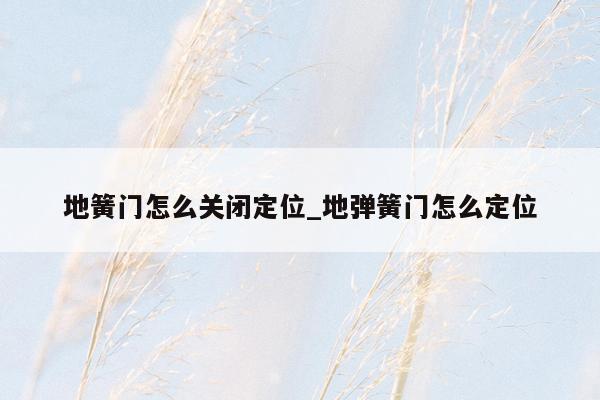 地簧门怎么关闭定位_地弹簧门怎么定位