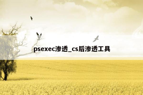 psexec渗透_cs后渗透工具