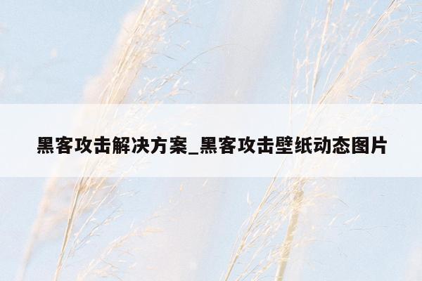 黑客攻击解决方案_黑客攻击壁纸动态图片