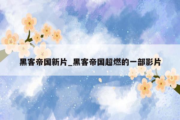 黑客帝国新片_黑客帝国超燃的一部影片
