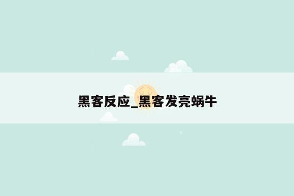 黑客反应_黑客发亮蜗牛