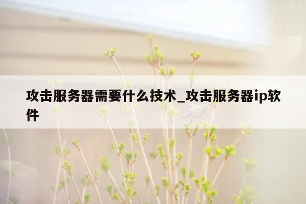 攻击服务器需要什么技术_攻击服务器ip软件