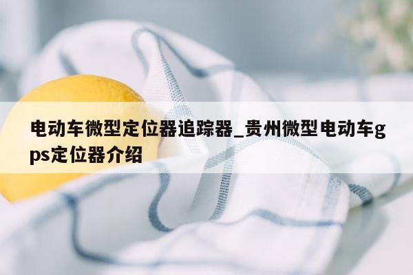 电动车微型定位器追踪器_贵州微型电动车gps定位器介绍
