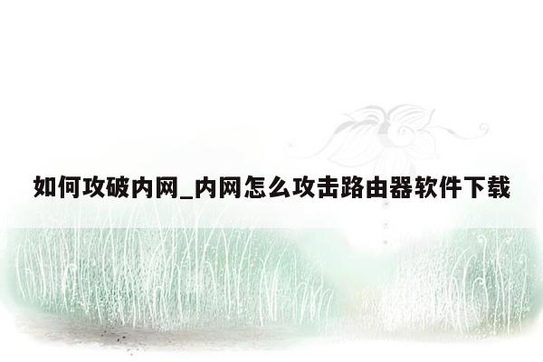 如何攻破内网_内网怎么攻击路由器软件下载