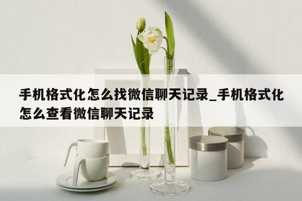手机格式化怎么找微信聊天记录_手机格式化怎么查看微信聊天记录