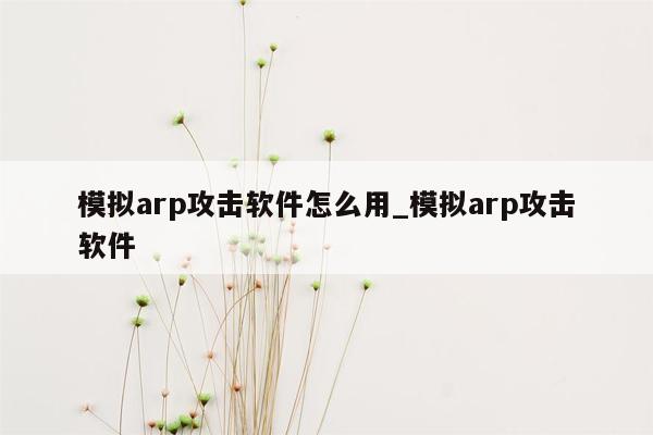 模拟arp攻击软件怎么用_模拟arp攻击软件