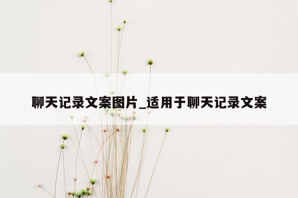 聊天记录文案图片_适用于聊天记录文案