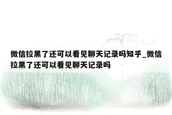 微信拉黑了还可以看见聊天记录吗知乎_微信拉黑了还可以看见聊天记录吗