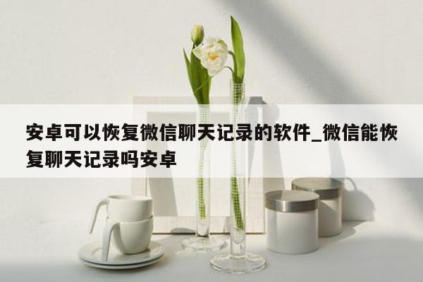 安卓可以恢复微信聊天记录的软件_微信能恢复聊天记录吗安卓