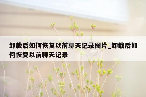 卸载后如何恢复以前聊天记录图片_卸载后如何恢复以前聊天记录