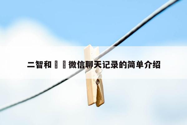 二智和垚垚微信聊天记录的简单介绍