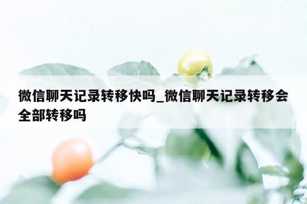 微信聊天记录转移快吗_微信聊天记录转移会全部转移吗