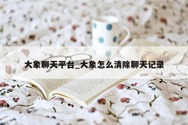 大象聊天平台_大象怎么清除聊天记录