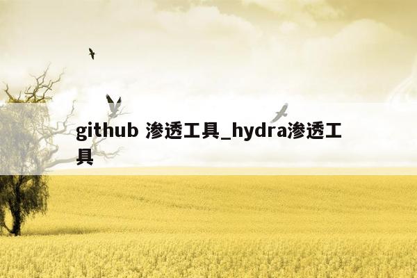 github 渗透工具_hydra渗透工具