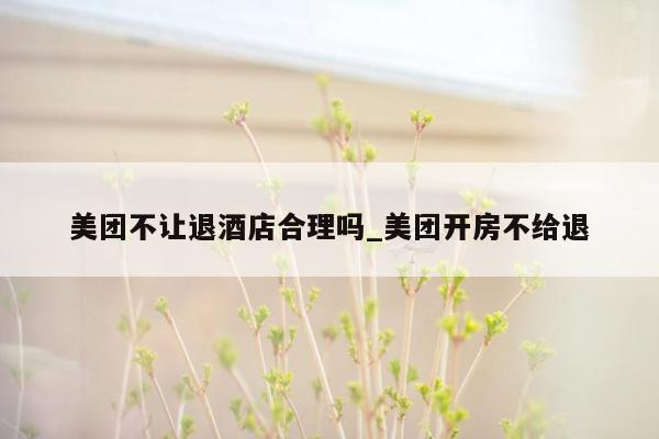 美团不让退酒店合理吗_美团开房不给退