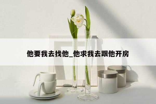 他要我去找他_他求我去跟他开房
