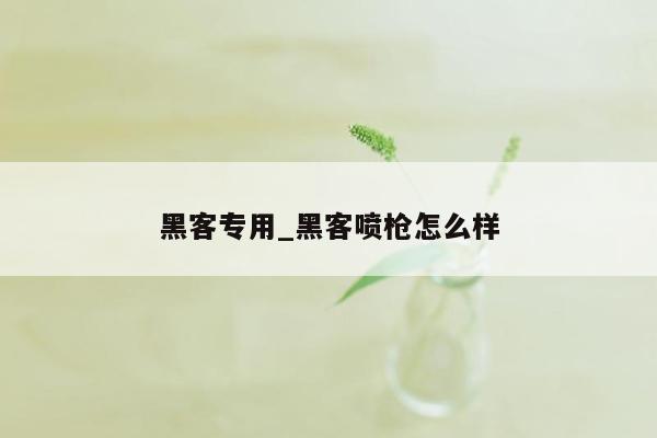 黑客专用_黑客喷枪怎么样