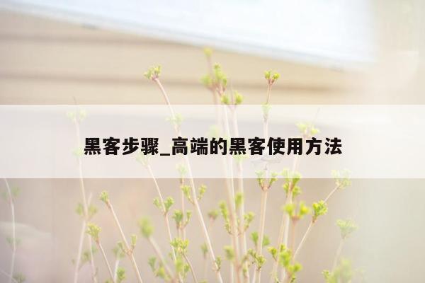 黑客步骤_高端的黑客使用方法
