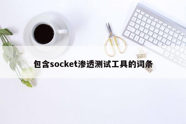 包含socket渗透测试工具的词条